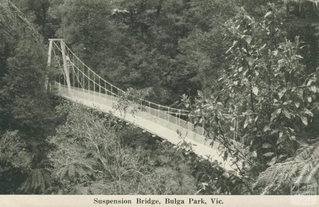 Suspension Bridge, Bulga Park, 1949