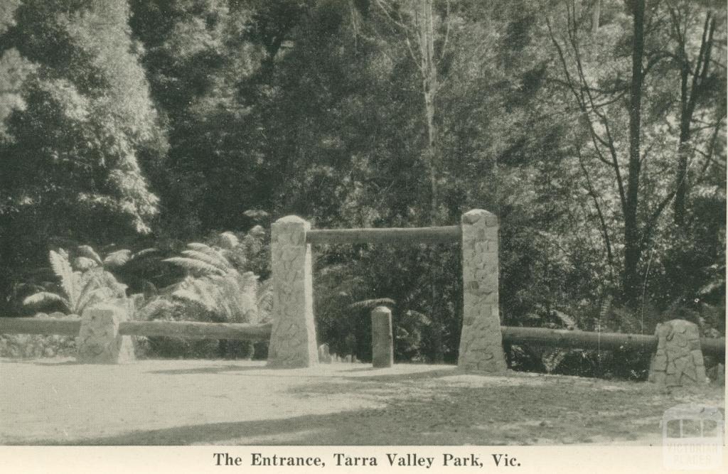 The Entrance, Tarra Valley Park, 1949