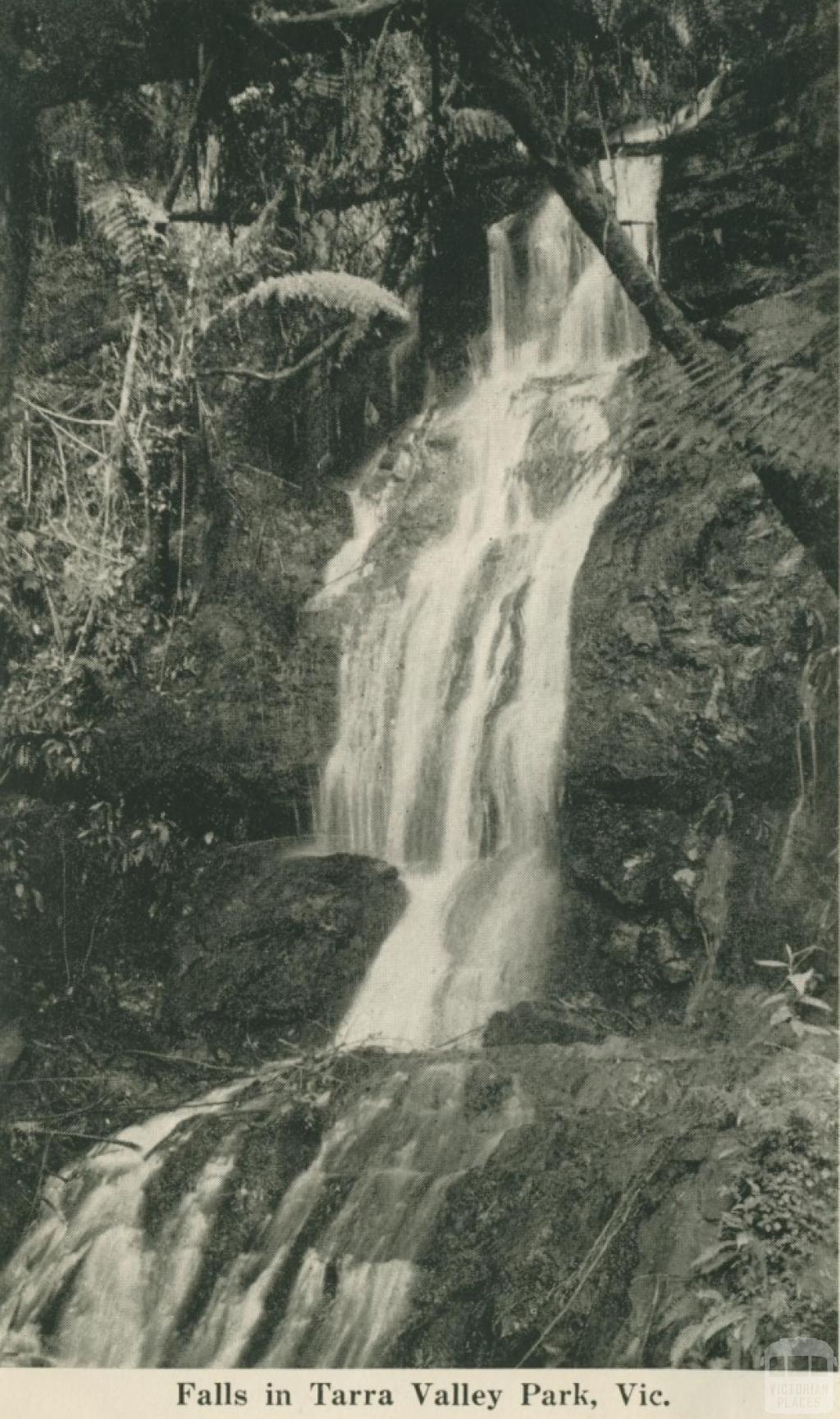 Falls in Tarra Valley Park, 1949