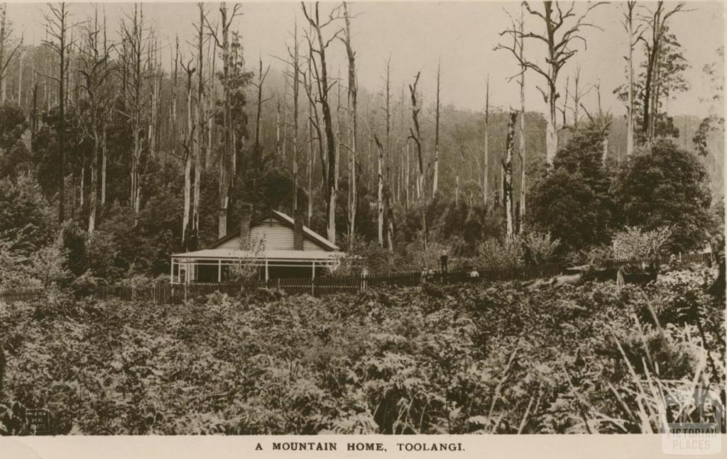 A Mountain Home, Toolangi, 1917