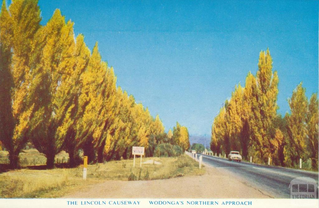 The Lincoln Causeway, Wodonga's northern approach, 1965