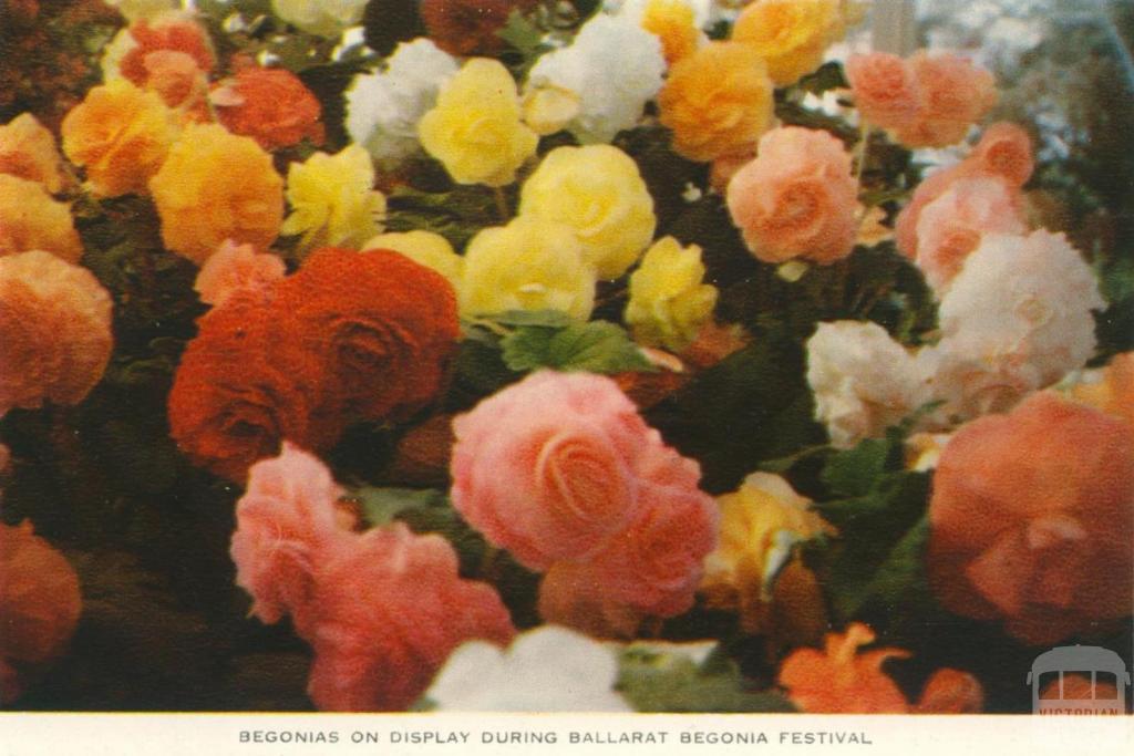 Begonia Festival, Ballarat, 1958